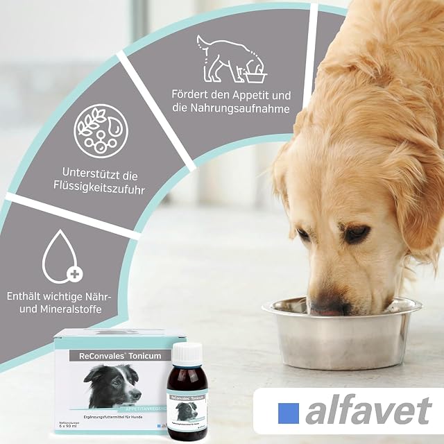 Foto 4 de 8 de Alfavet ReConvales Tonicum Hund - 6 x 90 ml