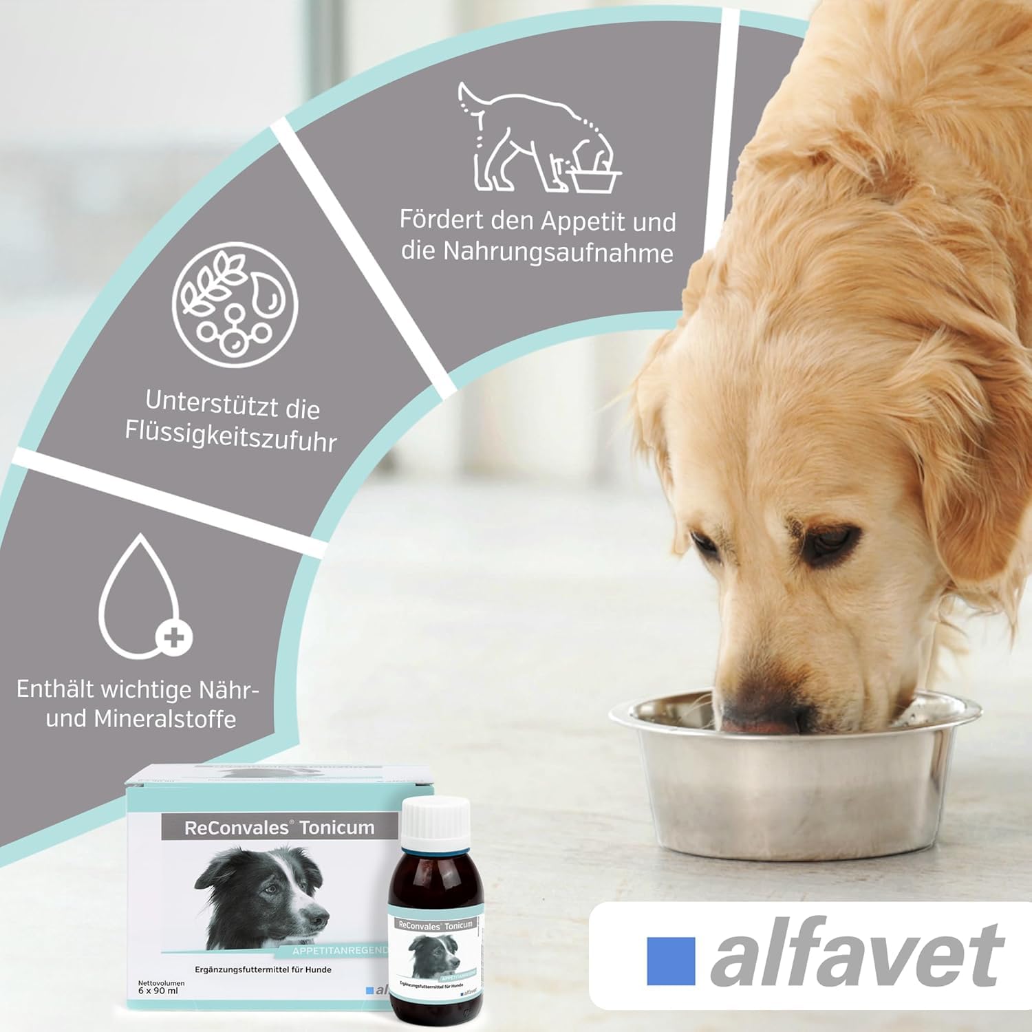 Alfavet ReConvales Tonicum Cani (6 x 90 ml) – Mangime complementare liquido ad alta energia per cani – con proteine, elettroliti e vitamine, elevata appetibilità