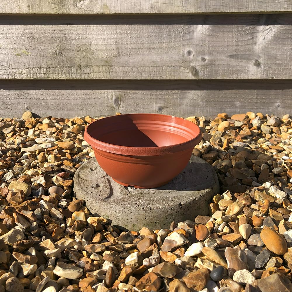 Bedwen Orion Terracotta Plastic 17cm Bulb Bowls x 5. Special perforated base.