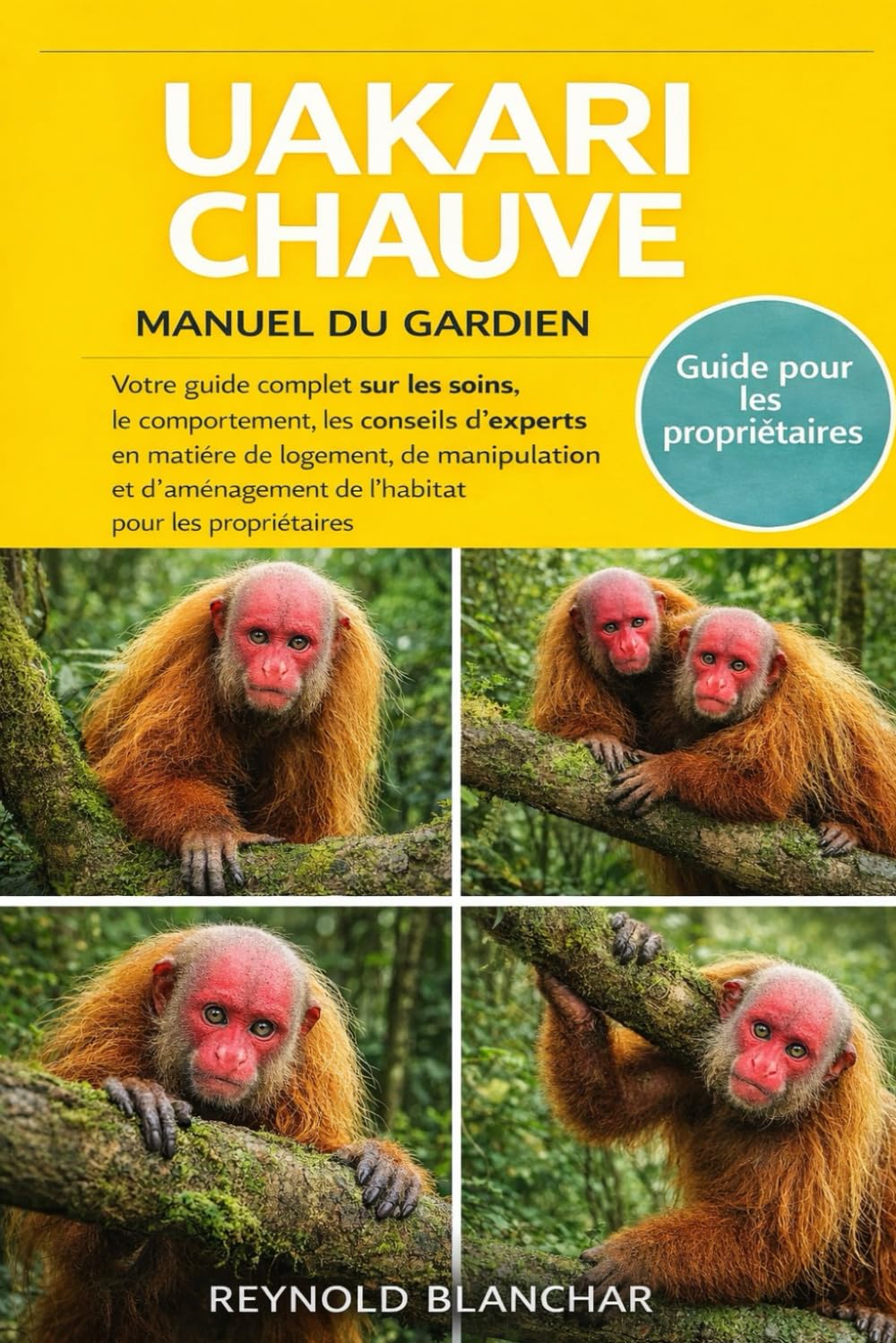 UAKARI CHAUVE: Votre guide complet sur les soins, le comportement, les conseils d'experts en matière de logement, de manipulation et d'aménagement de l'habitat pour les propriétaires