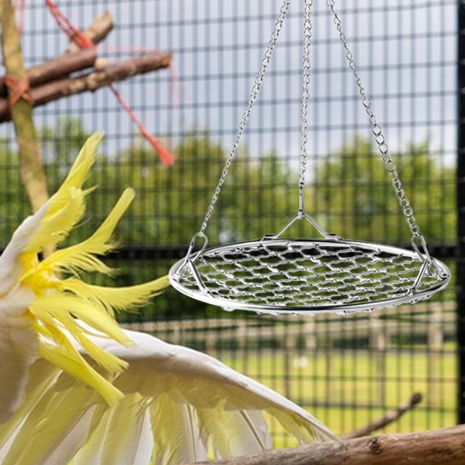 Altalena Per Uccelli Da Gabbia - Altalena Antirodentamento Per Uccellini Con Griglia Rinfrescante In Acciaio Inox Rimovibile Resistente Alla Ruggine Area Riposo Per Cocorite Canarini Calopsite | Con G