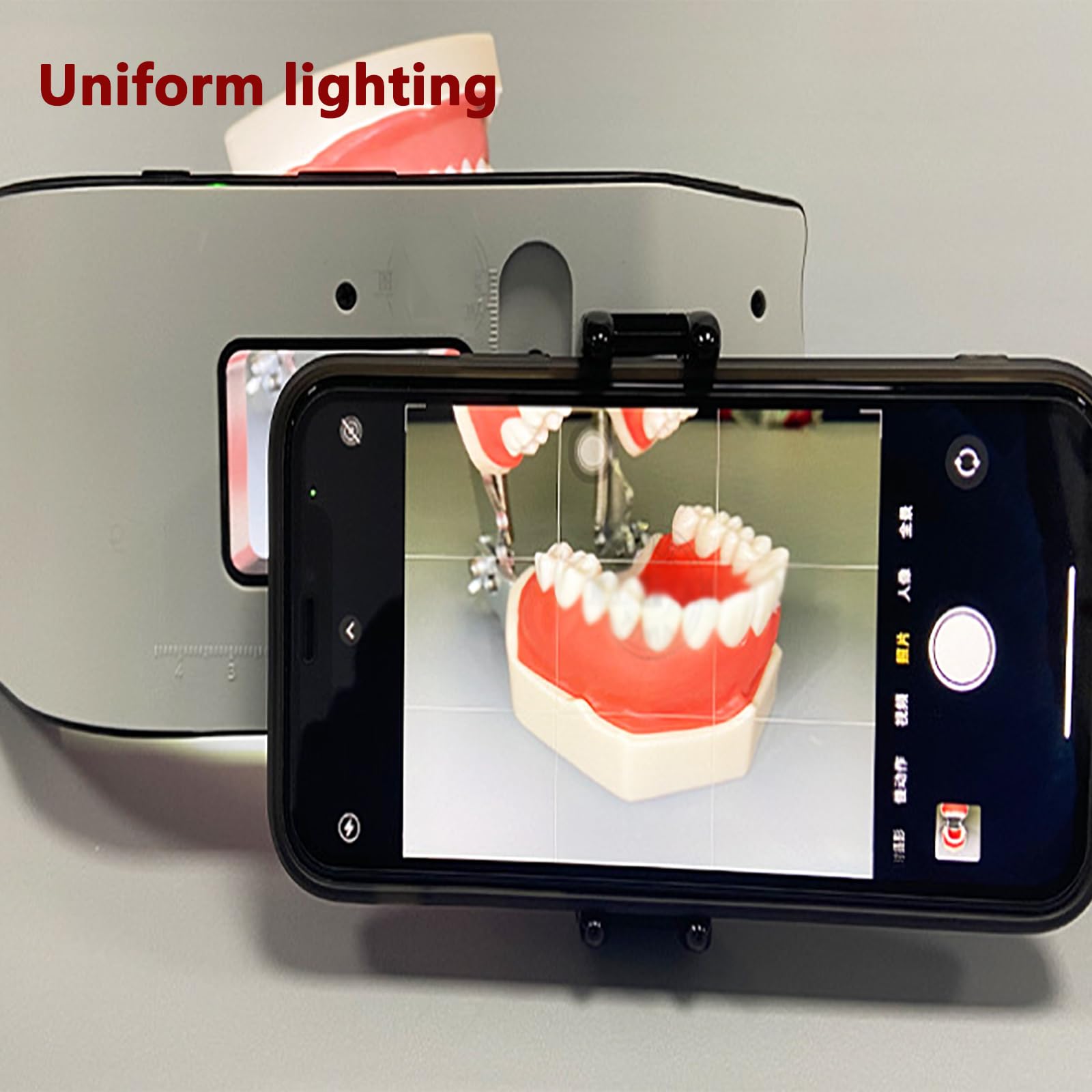 Luz De Relleno Oral, Equipo Fotográfico Dental con Temperatura De Color 6000-6500K, 3 Niveles Ajustables Brillo Y Disparo 360°,Suave Y Uniforme,para Salón Belleza,Hospital Clínico