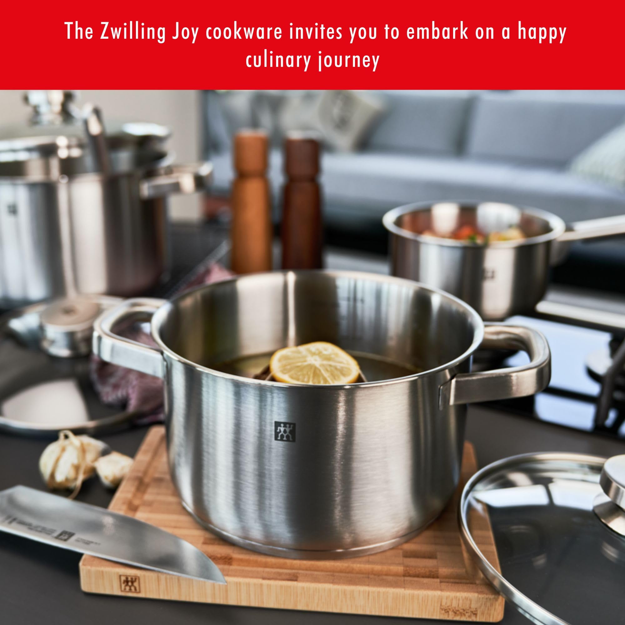 ZWILLING Joy 10 Piece 18/10 Stainless Steel COOKWARE Set : Amazon