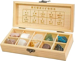 Rock Collection Box Rock Set Mineral Kit Geology Gift with Wooden Box Portable Display and Learning Guide Suitable for Learning Party