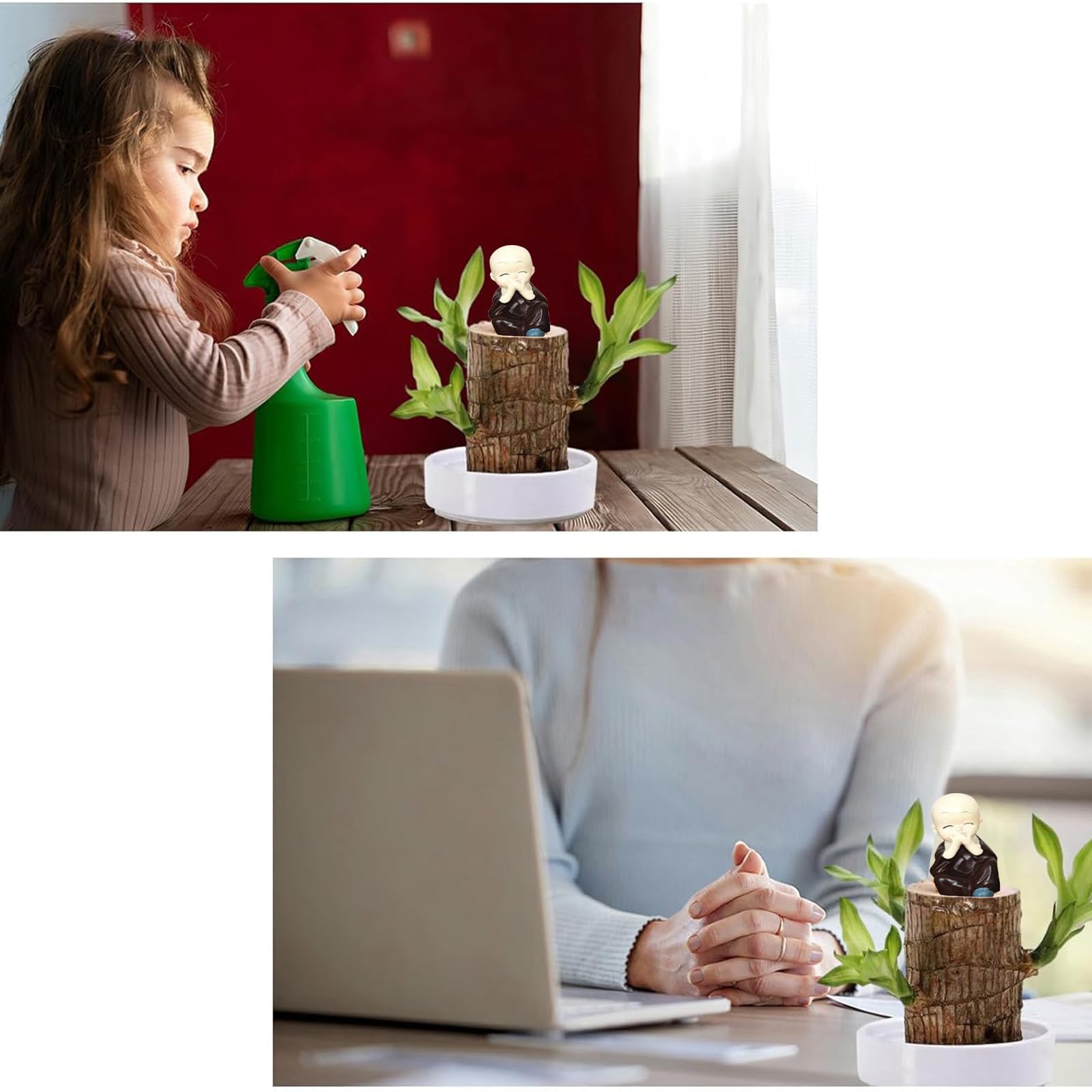 Bavicchi Tour De Germination Geo Terracotta - Boutique En Ligne France