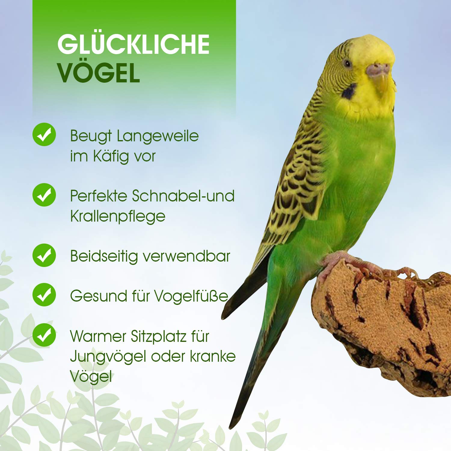 Korksitzbrett für Vögel - Größe S, M, L, XL, XXL - 100% Bio Vogelkäfig Zubehör - natürliches Kork Sitzbrett für Wellensittiche, Nymphensittiche, Papageien und Co. (XXL (34 x 17 cm))