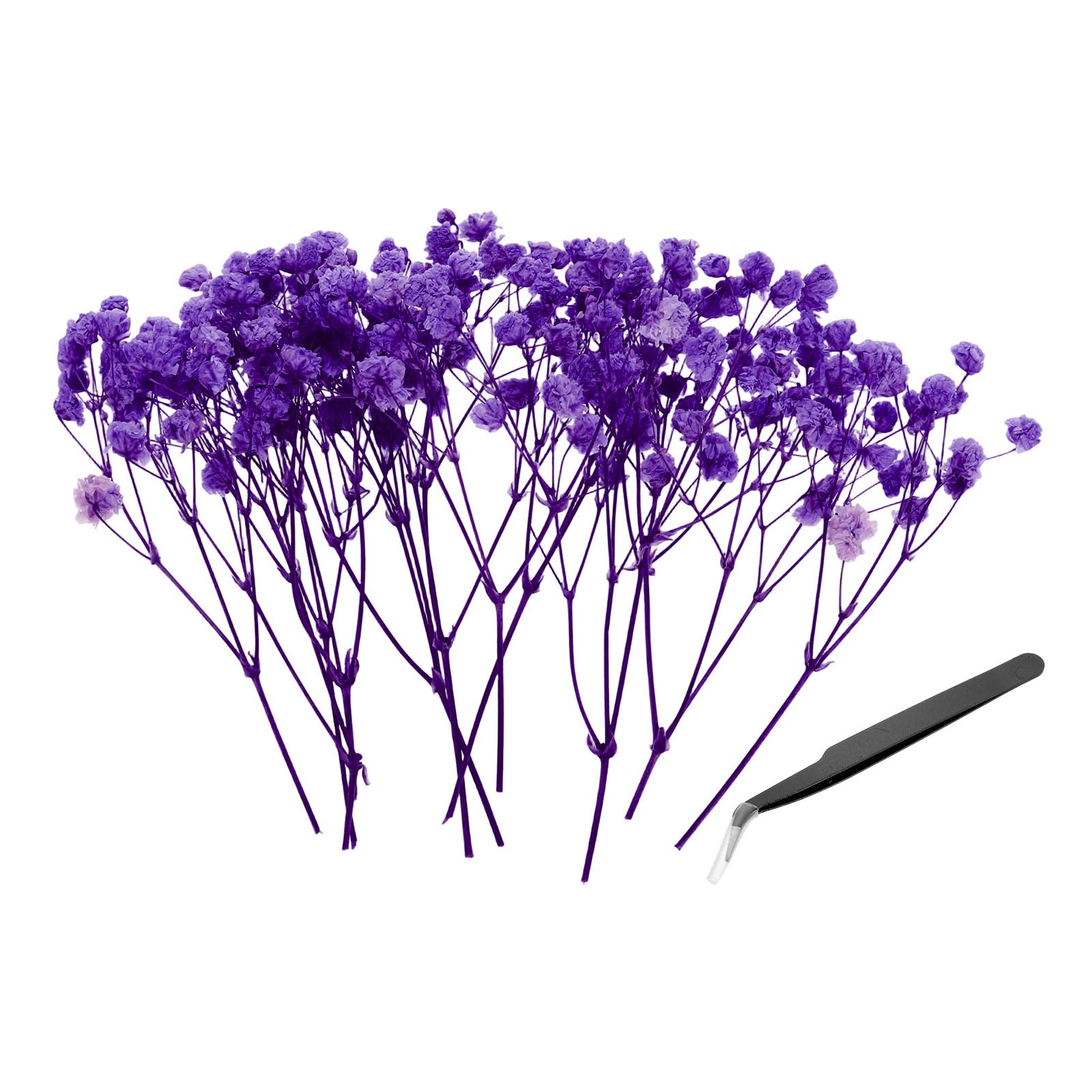 PATIKIL Mini Dried Gypsophila Flower Kit, 30Pcs 4 Inch Blue Purple Natural Pressed Floral Bundles with Tweezer for DIY Resin Crafts Gift Wedding Christmas Card Decor Flower Bouquets