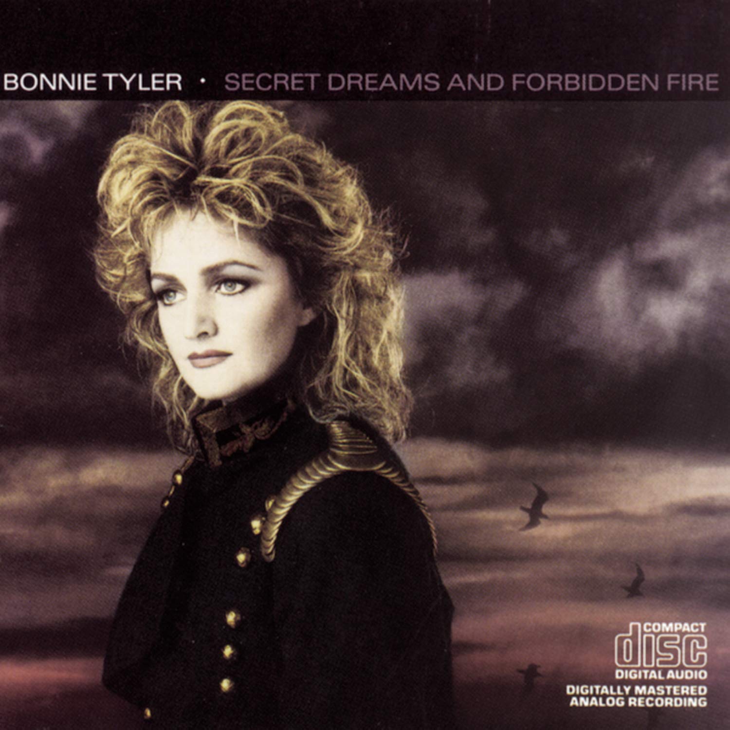 Secret Dreams & Forbidden Fire [Audio CD] Tyler, Bonnie