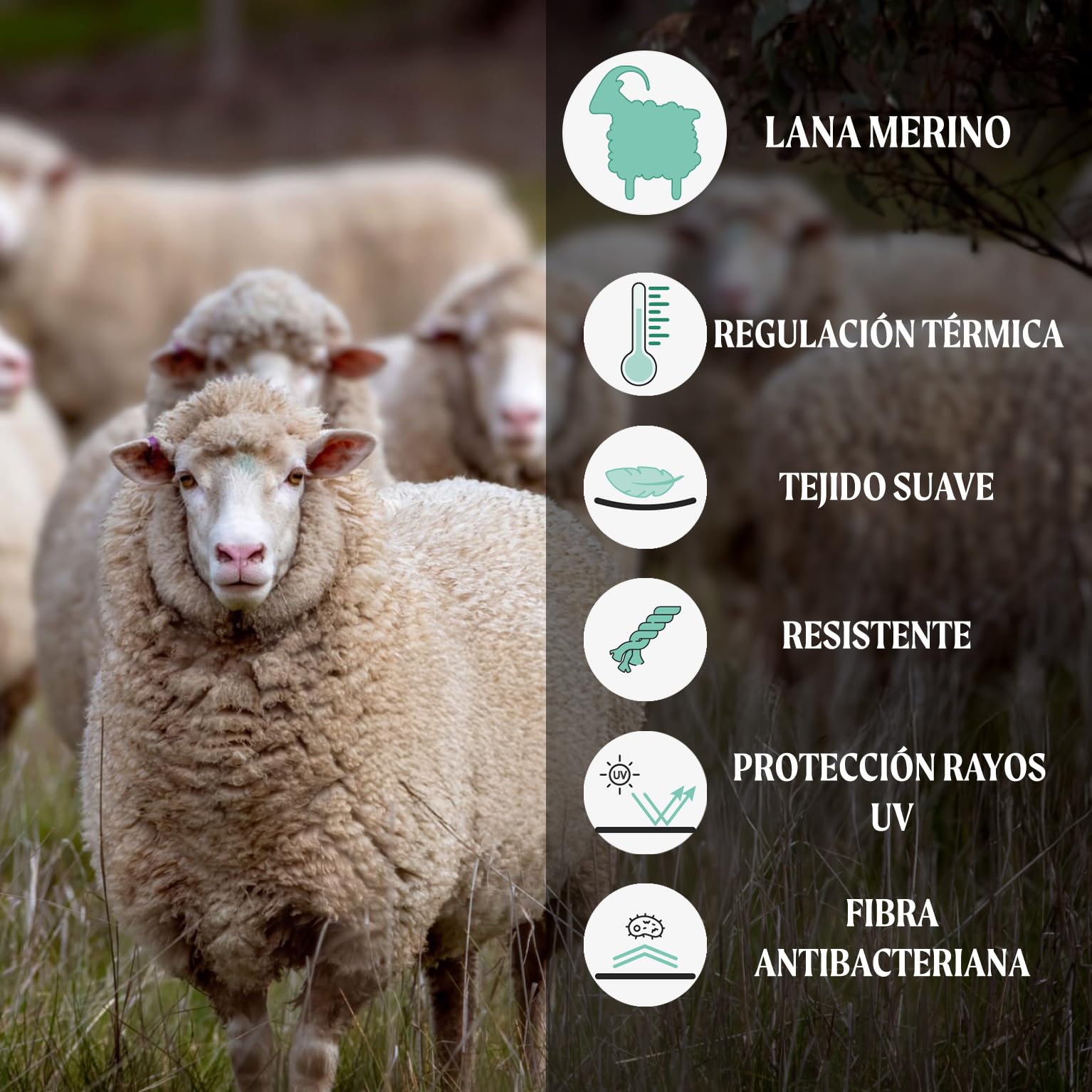 CALZITALY PACK 2/4 PARES Calcetines Invisibles Termicos, Calcetines Tobilleros Lana Merino, Pinkies,Calcetines Cortos Invernales, Made in Italy
