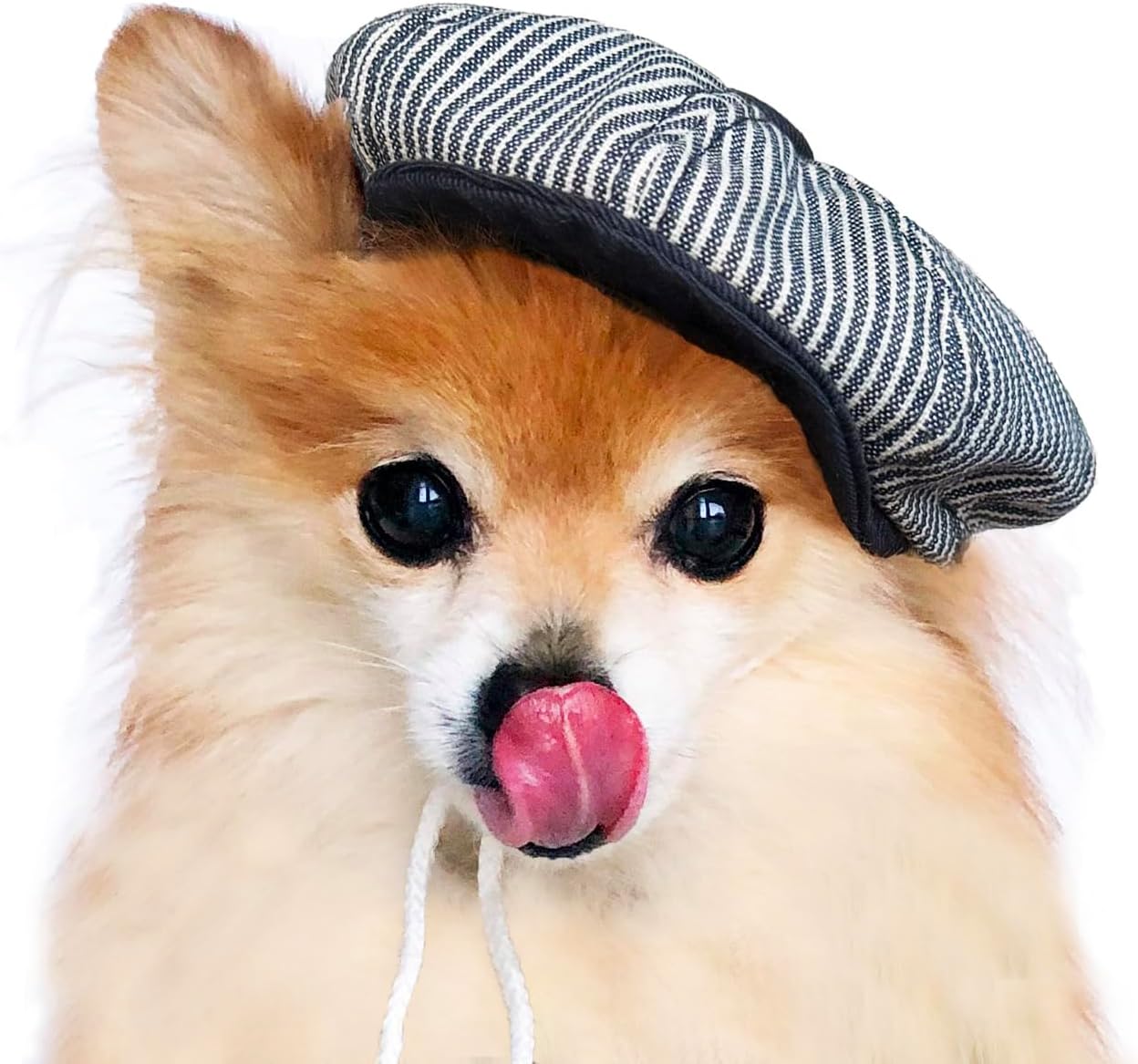 Handmade dog newsboy cap Beret for cats Flat caps for small dogs puppies (Small, Black Glen Check)