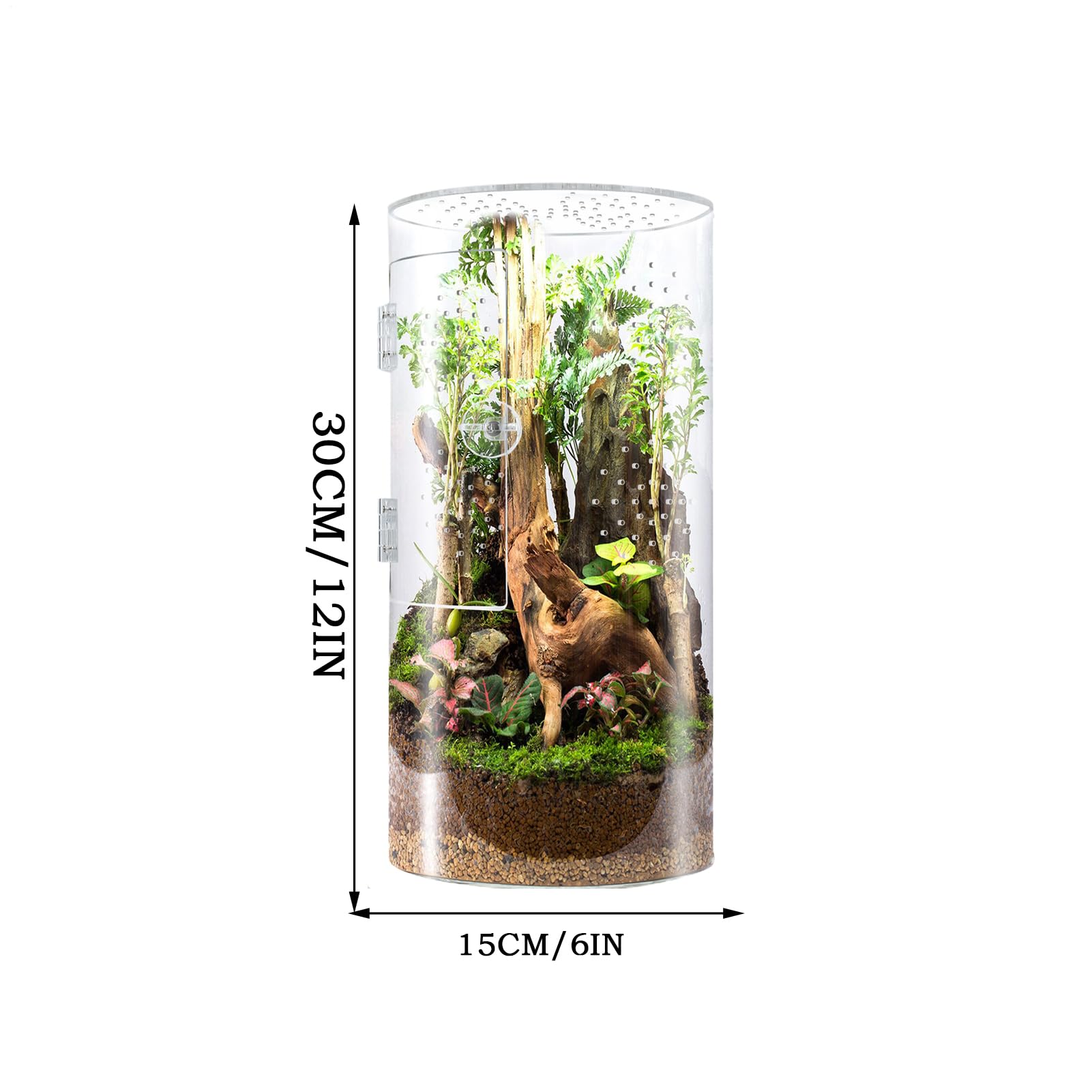 Alloggiamento per saltare – gabbia verticale trasparente per habitat, compatta per animali domestici esotici | Custodia impermeabile per rettili con porta di apertura anteriore, scatola per terrario