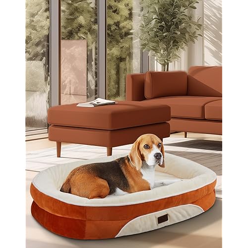 OhGeni Orthopedic Dog Couch Pet Sofas Large Sized Cat Beds with Comfort Foam Support, Chew Resistant Indestructible Fabric, Machine Washable Waterproof Removable Cover, 35-Inch (Orange)