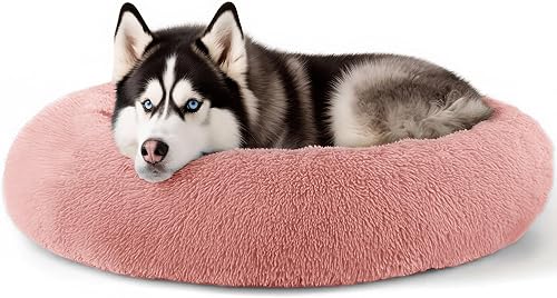 Miniatura 45 de Hoewina - Cama para perros y gatos pequeños y medianos, de interior, 20 pulgadas, dónut calmante, cama para cachorros y gatitos, cama redonda,