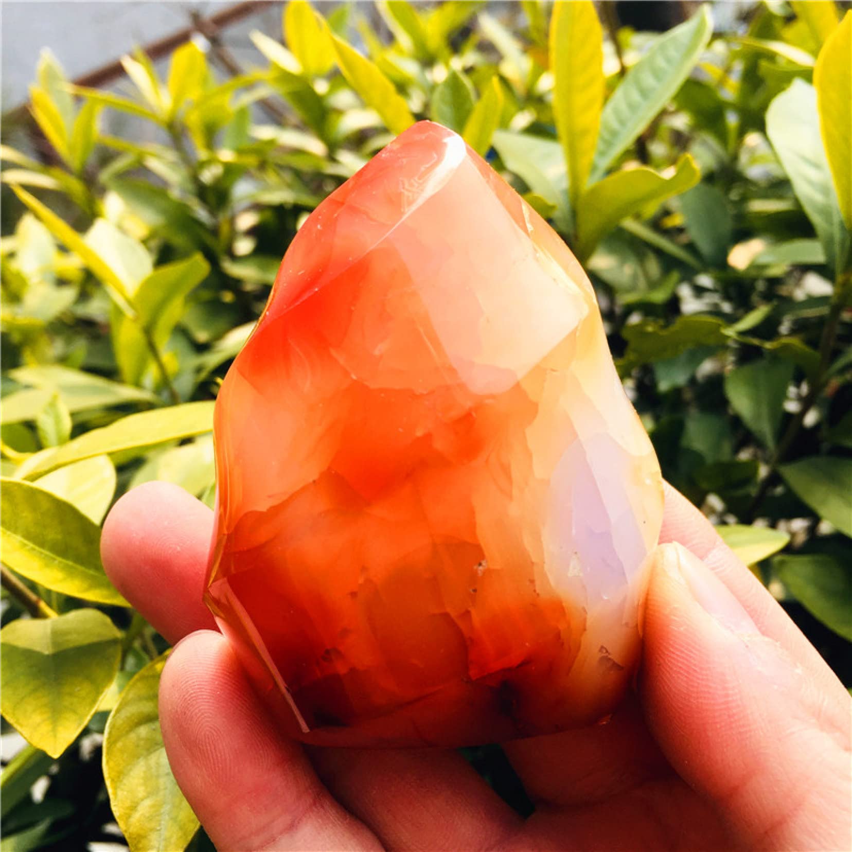 Amazon.co.jp: 天然水晶の原石 1pc 天然クリスタル赤瑪瑙トーチ