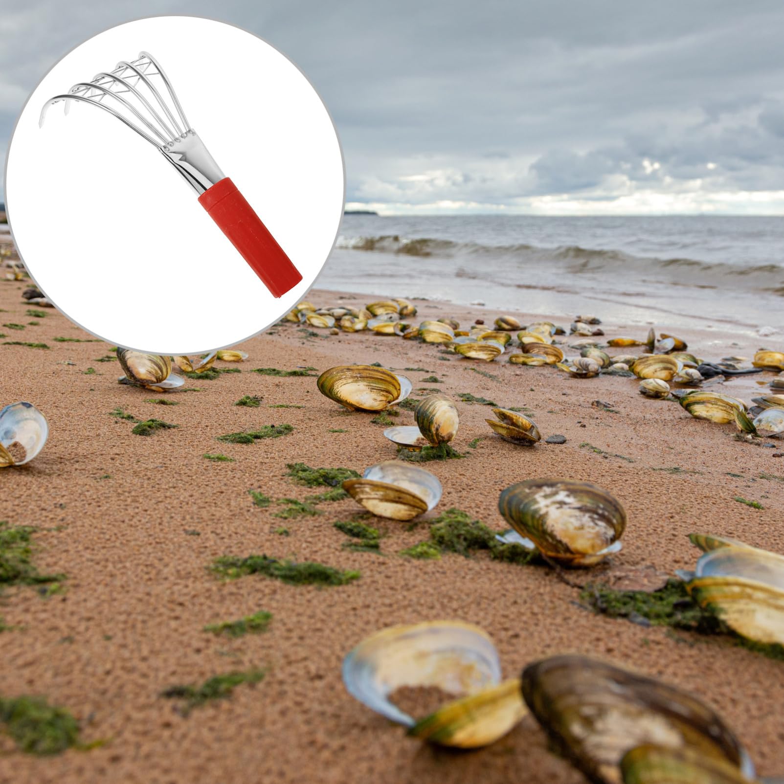 UPKOCH 2 Stück Krebsrechen für Muschelrechen mit Fünf Zähnen Robustes Strandwerkzeug zum Muscheln und Meeresfrüchte Graben Handlich und Langlebig