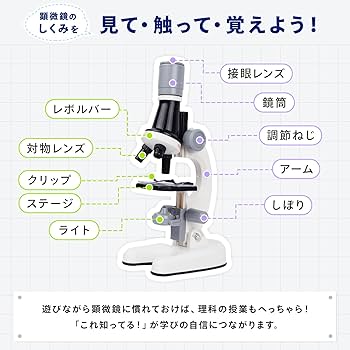 Amazon.co.jp: [MRG][夏休みの自由研究に] 顕微鏡 おもちゃすぐ