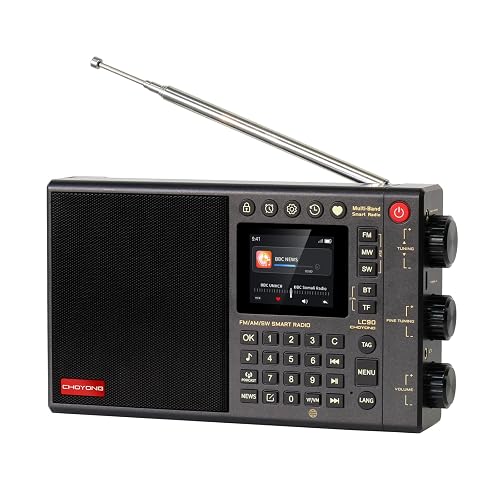 CHOYONG LC90 Multi-Band Smart Internet Radio