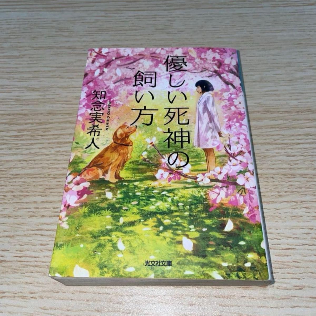 知念実希人 著作 22冊セット 知念実希人 文庫22冊セット
