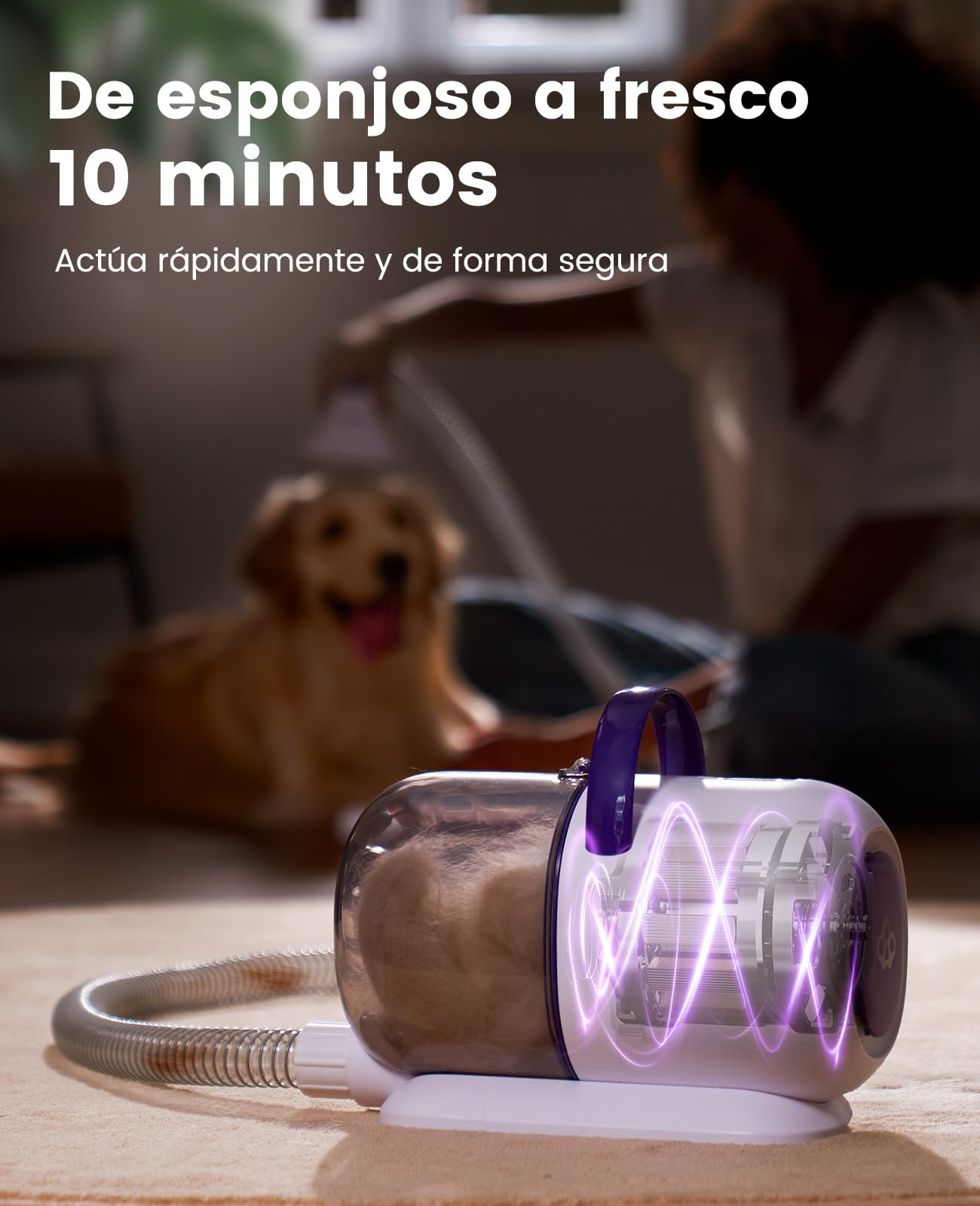 oneisall Aspira peli Cane &Gatto domésticocon Cepillo, Súper Poder de succión con 12000pa, Aspiradora para pelos de Perro con un botón, Aspiradora pelos Mascotas con 4 Cepillos