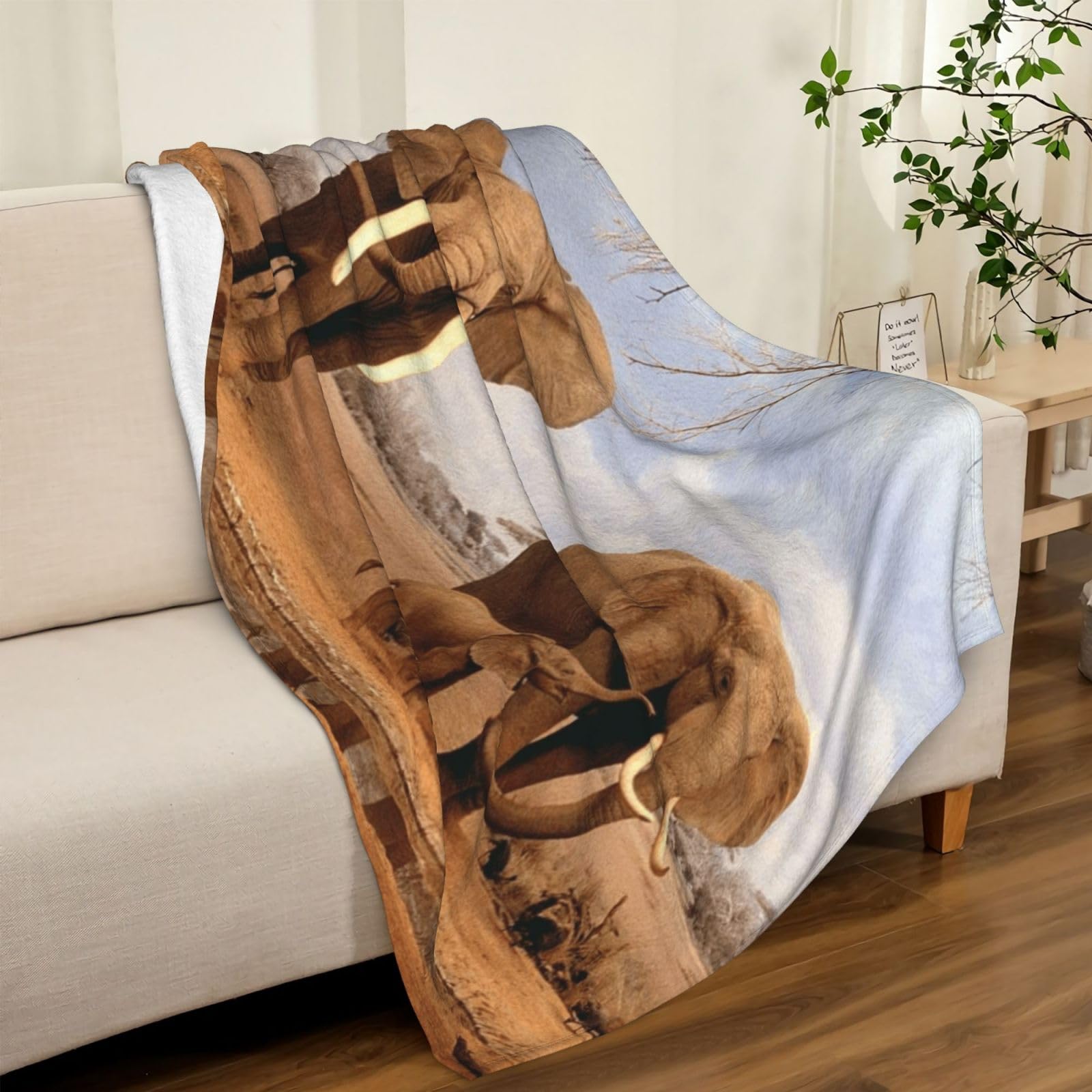 Rodzina słonia koc flanelowy z nadrukiem 100 x 152 cm koc dekoracyjny