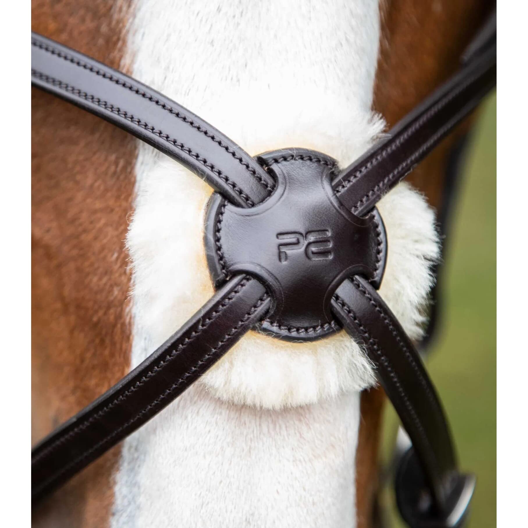 Premier Equine Cabezada Glorioso