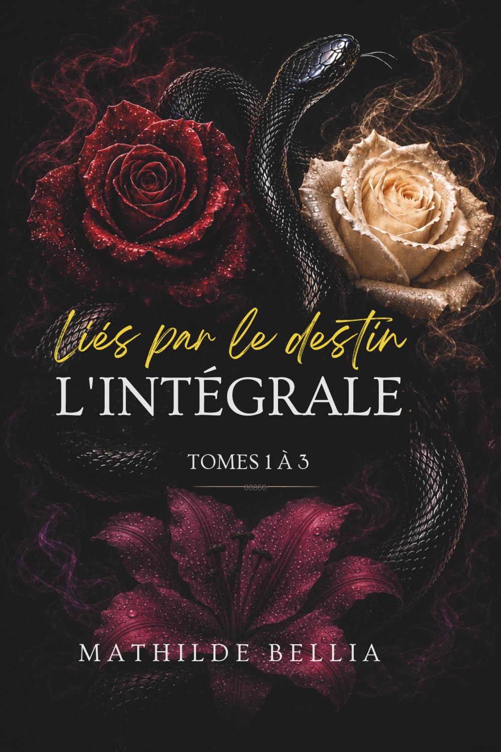 Liés par le destin — La Trilogie complète: Quand le passé frappe, ils brûlent jusqu’à la rédemption.: 4
