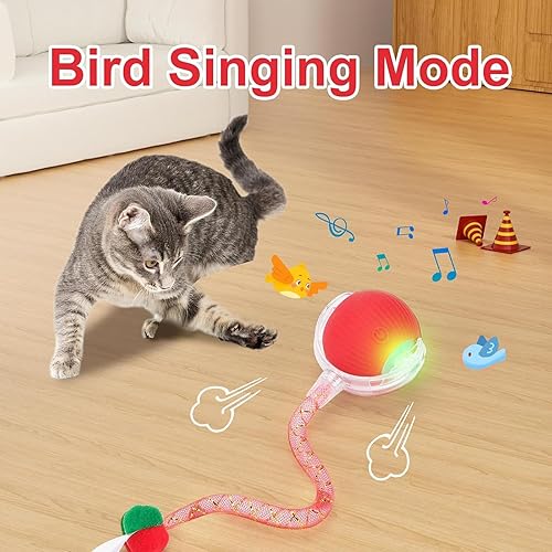 Miniatura 7 de Speed 2.0 Tail - Juguetes interactivos para gatos de interior, juguete Ca t para chirridos y activación de movimiento, juguete inteligente de bola