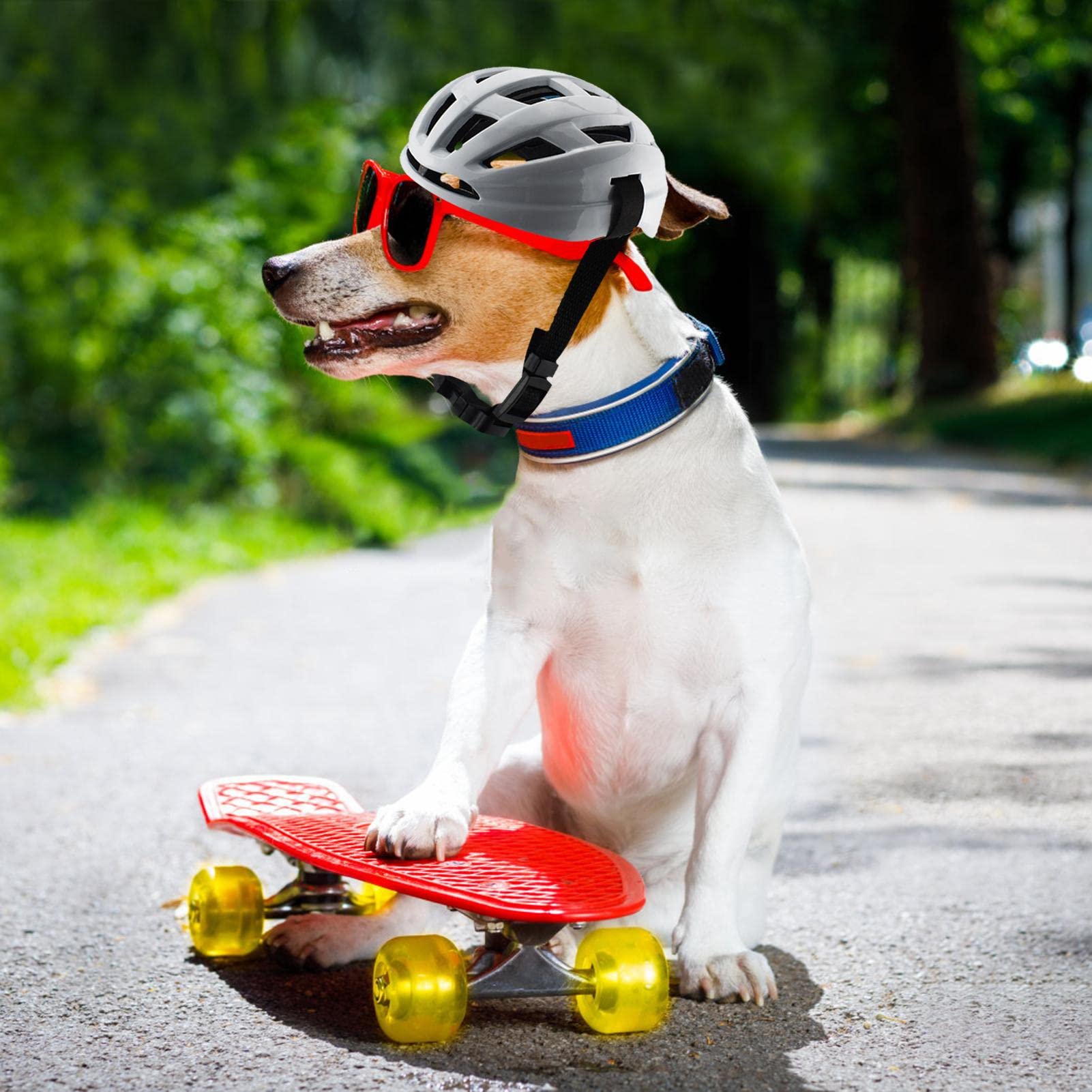 RUTAVM ヘルメット 犬用 猫用 ペット用ヘルメ 安全第一 バイク 犬猫 用 帽子 猫用 通気性 調節可能 着脱簡単 面白い 犬の ペミニ 小 中 型 犬 記念撮影 お出かけ用品 ペット用品