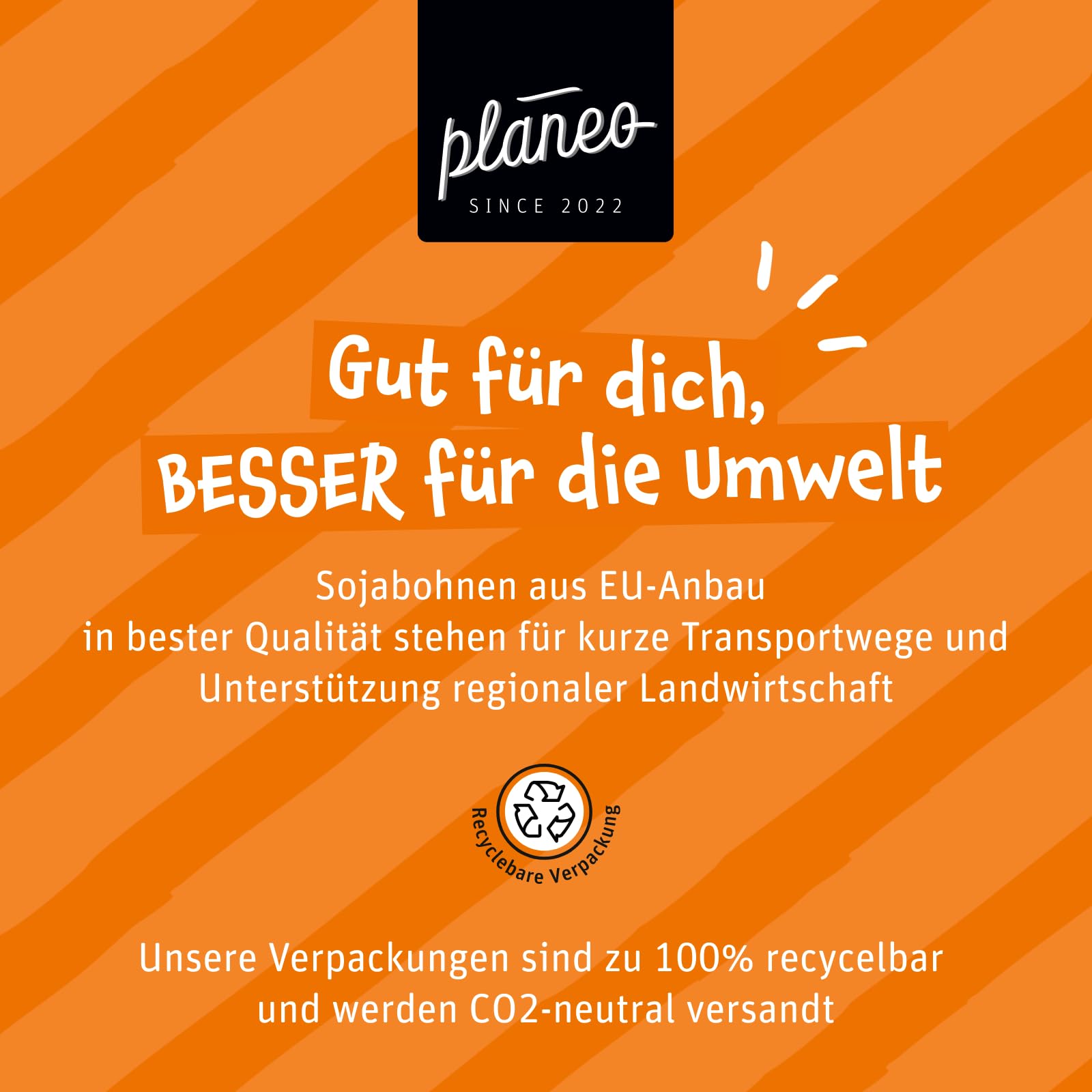 Planeo Tempeh Marninert 6x200g - Beste Qualität - Lange, ungekühlt haltbar - fein gewürzt - Soja aus der EU - Planeo (6 x 200g)