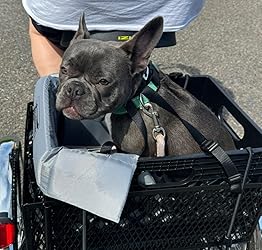 Dog Stroller DIY Conversion/Bike Package (Crate NOT Included - Main Image