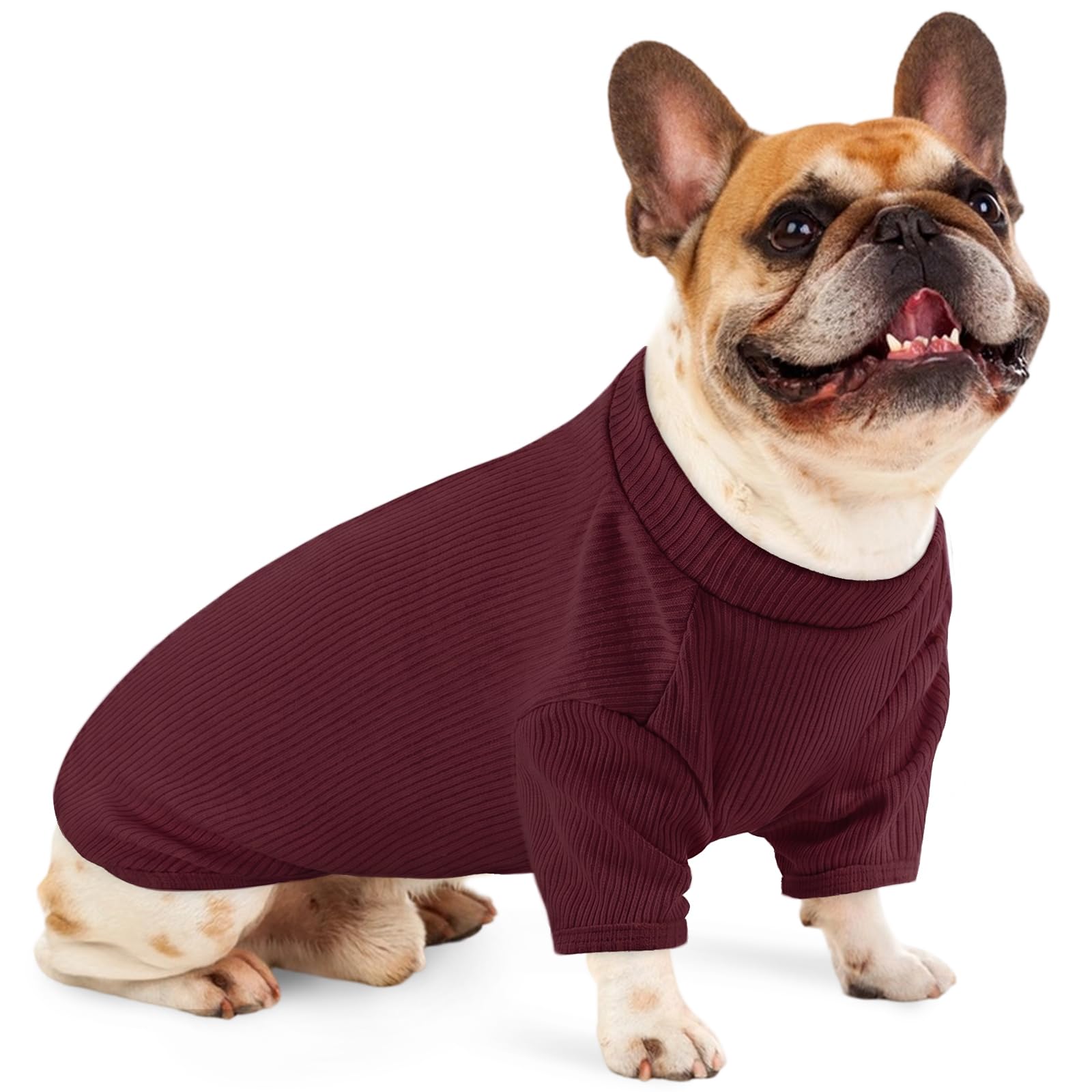 Pull en tricot pour chien L - T-shirt léger pour animal de compagnie pour Beagle - Schnauzer miniature Border Terrier - Confortable et décontracté - Pour promenades, voyage et confort à la maison