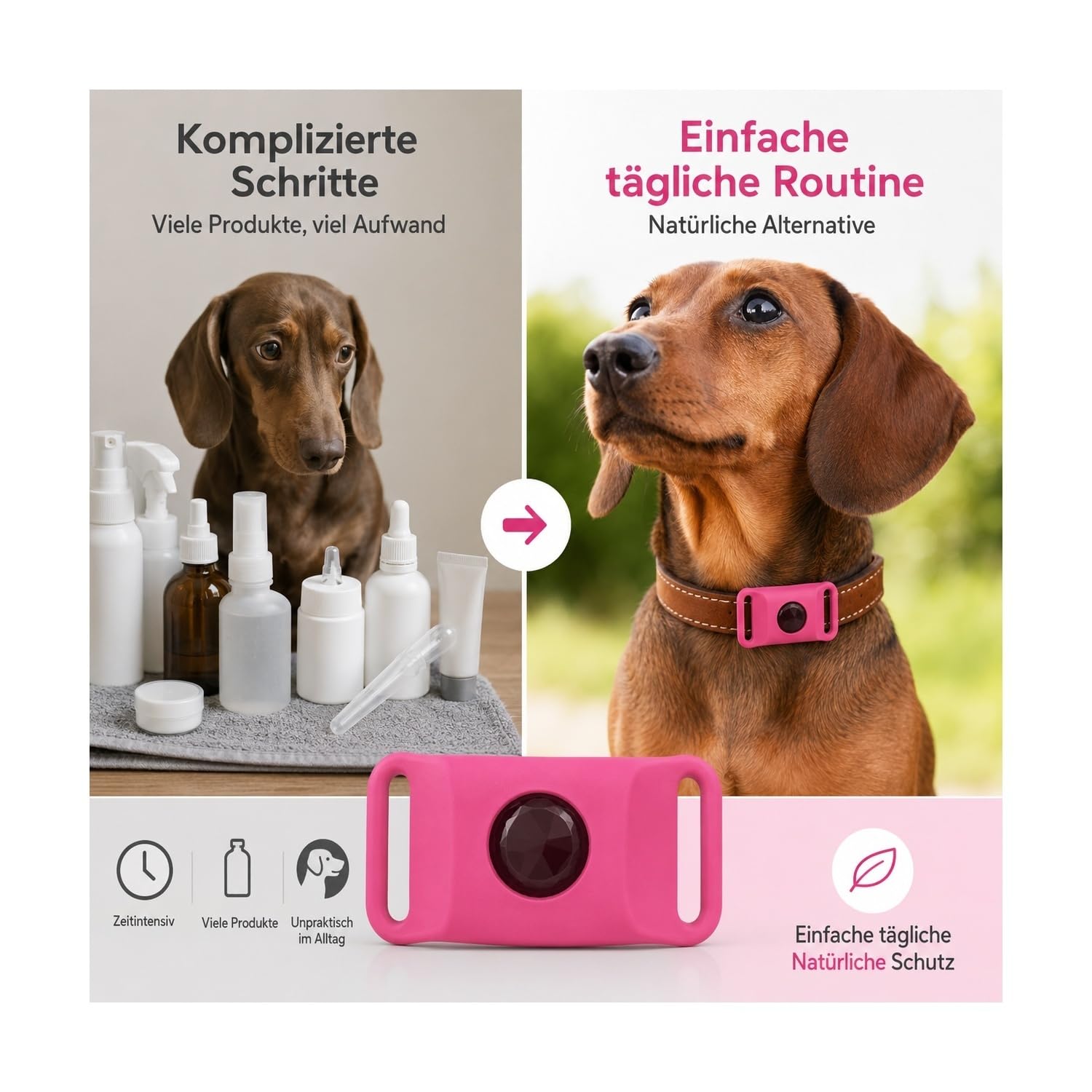 Zeckenschutz Hund natürlich ohne Chemie, 12 Monate Floh- und Zeckenanhänger, wasserdichter Halsbandanhänger mit ätherischen Ölen für kleine bis große Hunde