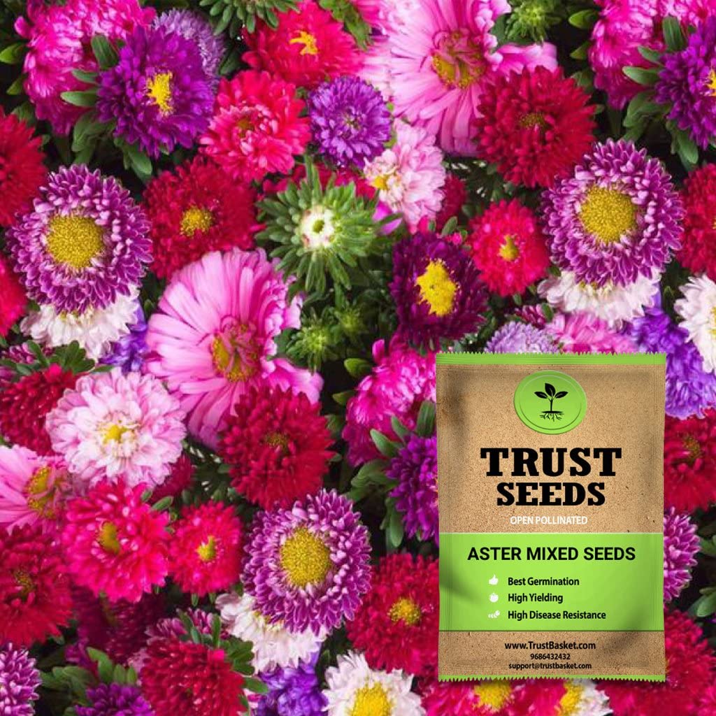 TrustBasket Premium Flower Aster Mixed Seeds (Open pollinated) | Sow and Grow Fresh Healthy Seed in Your Garden Perfect for Home & Terrace Gardening High Germination Seeds (B07231F3R3) Amazon Price History, Amazon Price Tracker
