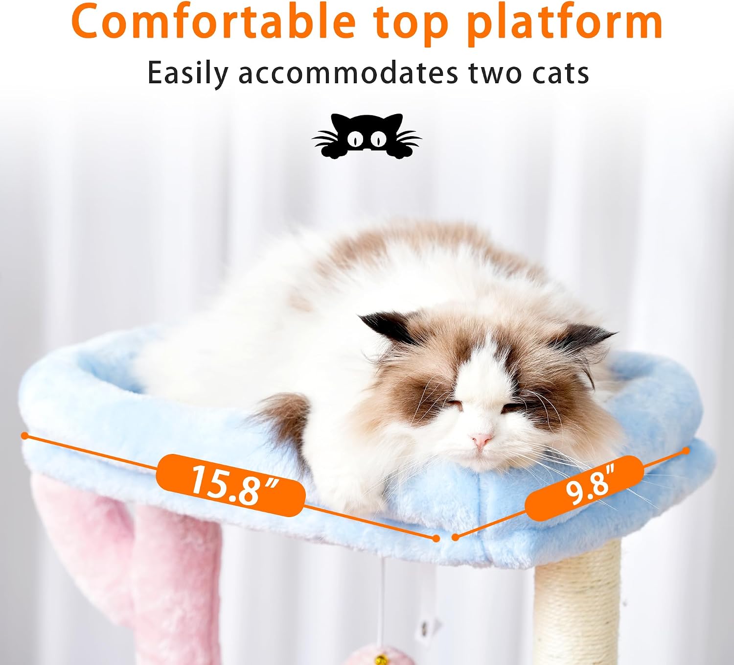 Cats sleeping in the hammocks of the Heybly Cat Tree