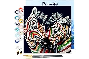 Figured'Art Mini Paint by Numbers Kit for Adults with Frame - Couple of Colorful Zebras