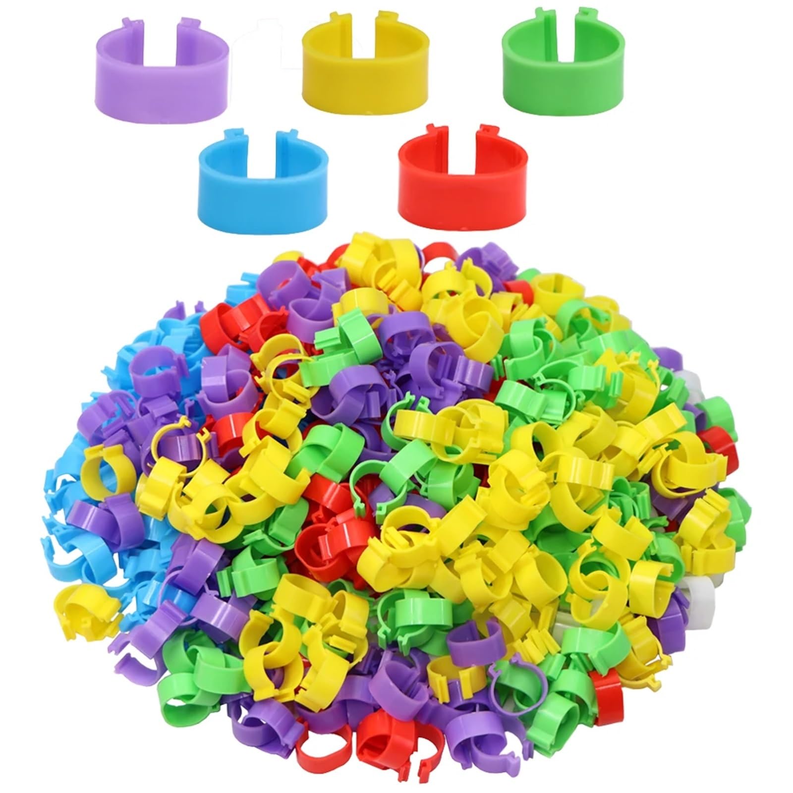 Anelli per Galline 100 pezzi 6 colori anelli for zampe di pollo, anatra, oca, strumento identificazione animali, etichetta vuota, fibbie, fascia a clip, 16/18/20/25,0 mm(Color 04,25.0mm)