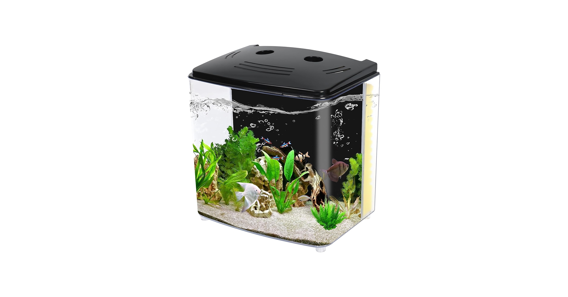 Amazon.com : AQUANEAT Fish Tank, 1.2 Gallon Aquarium, Small