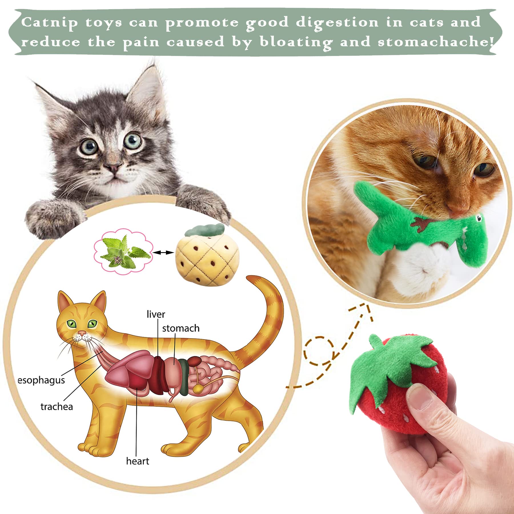 Pai Sence 10 Pack Catnip Toys - Assorted Plush Toys For Indoor Cats, With Catnip - View #5