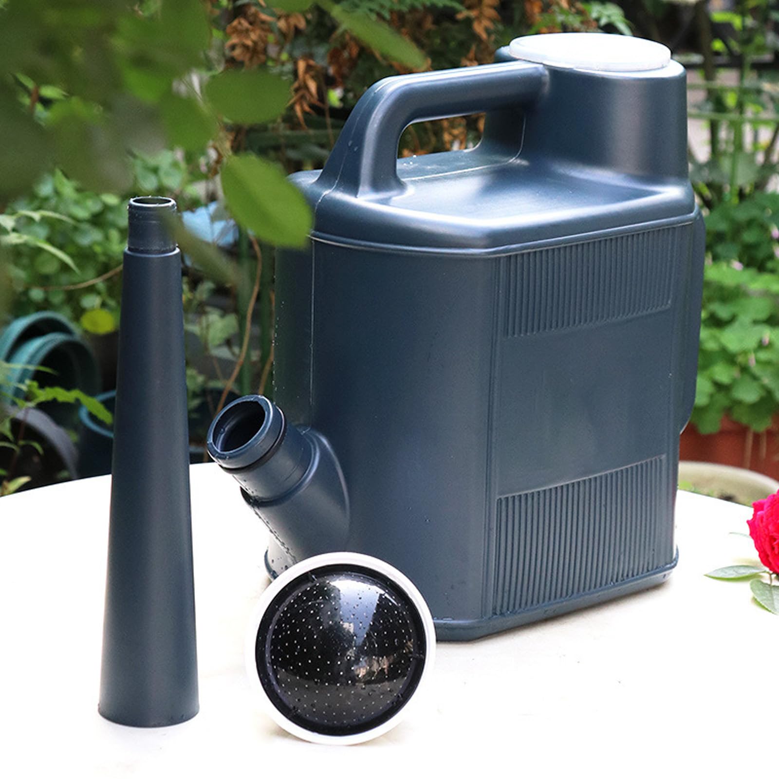 Arrosoir à long bec avec buse de douche amovible 10 L pour l'entretien des plantes d'intérieur et d'extérieur