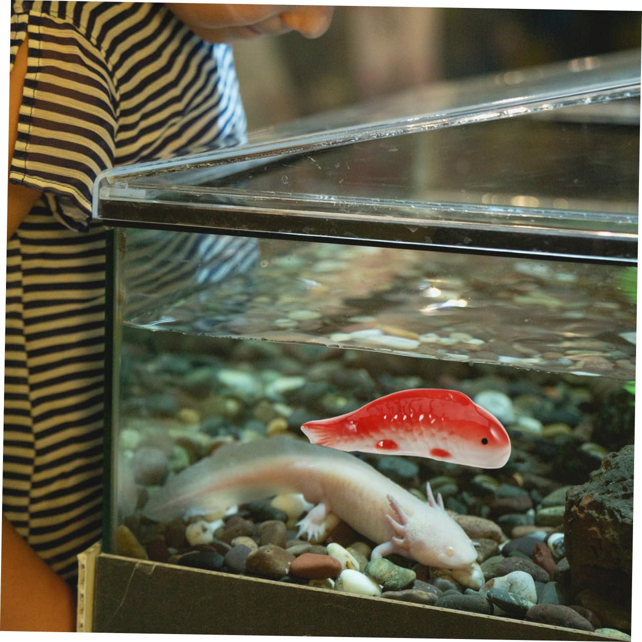 Supvox 5stücke Schwimmendes Fischornament Keramik Dekorative Unterwasser-deko Für Aquarien Langlebige Und Fische Für Lebendiges Fischbecken