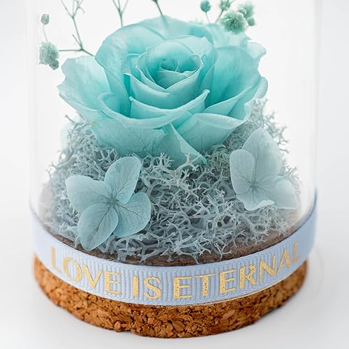 Miniatura 6 de Regalos de rosa real preservada para ella Forever Rose en cúpula de cristal regalos de rosa eterna para mujeres mamá en el día de San Valentín