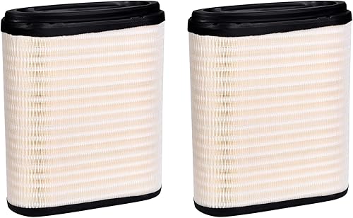 Miniatura 1 de Filtro de aire D37-1061 apto para KENWORTH T680 2023  PETERBILT 579 2023 Reemplaza D371061 (juego de 2)