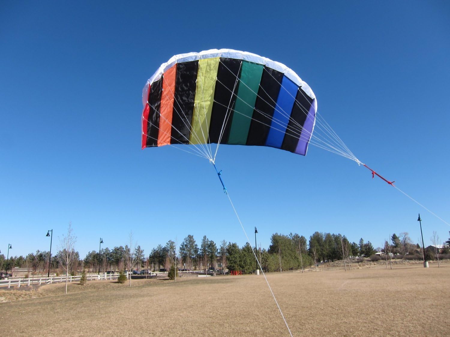In the Breeze 2972 - Rainbow 50 Inch Sport Kite - Dual Line Stunt Parafoil - Includes Kite Line and Bag