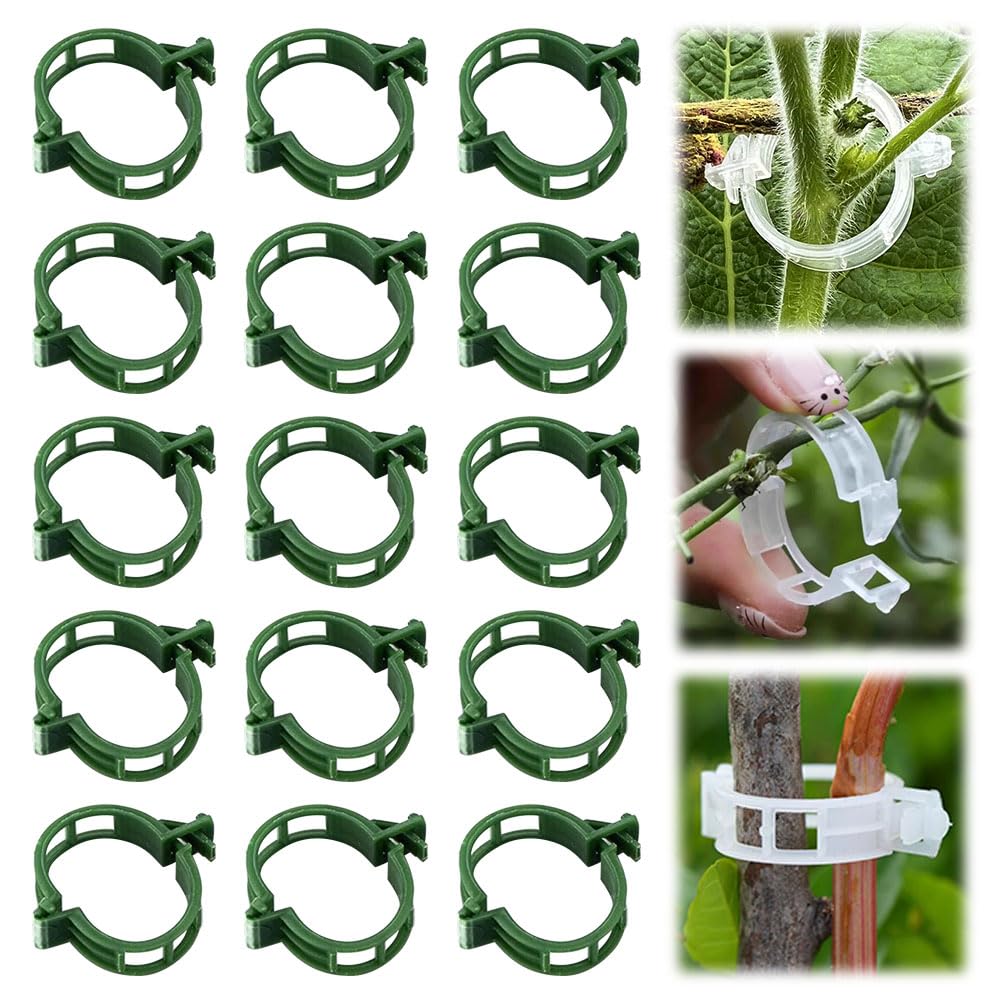 Pflanzenclips für Kletterpflanzen, Pflanzenstütz-Clips aus Kunststoff, Gartenclips, Kunststoff-Spalier-Clips, Tomaten, Weinreben, Gemüse, Pflanzenbefestigungsclips, Gartenbedarf (150, Grün)