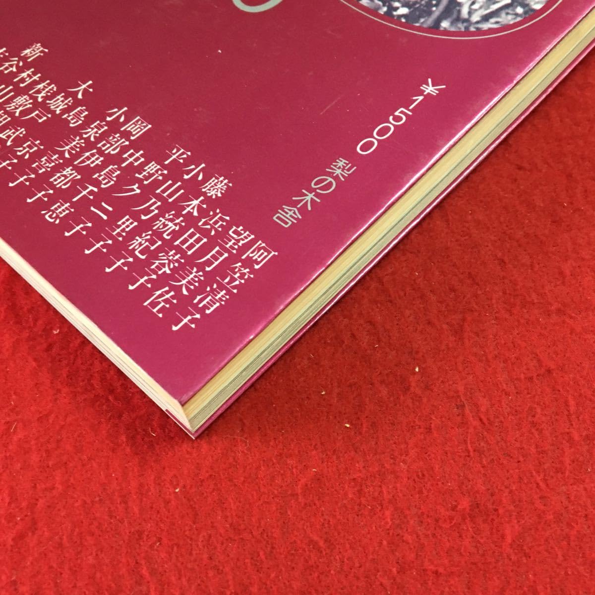 Amazon.co.jp: S7g-218 いま始まります 女の政治 土井たか子 おたか