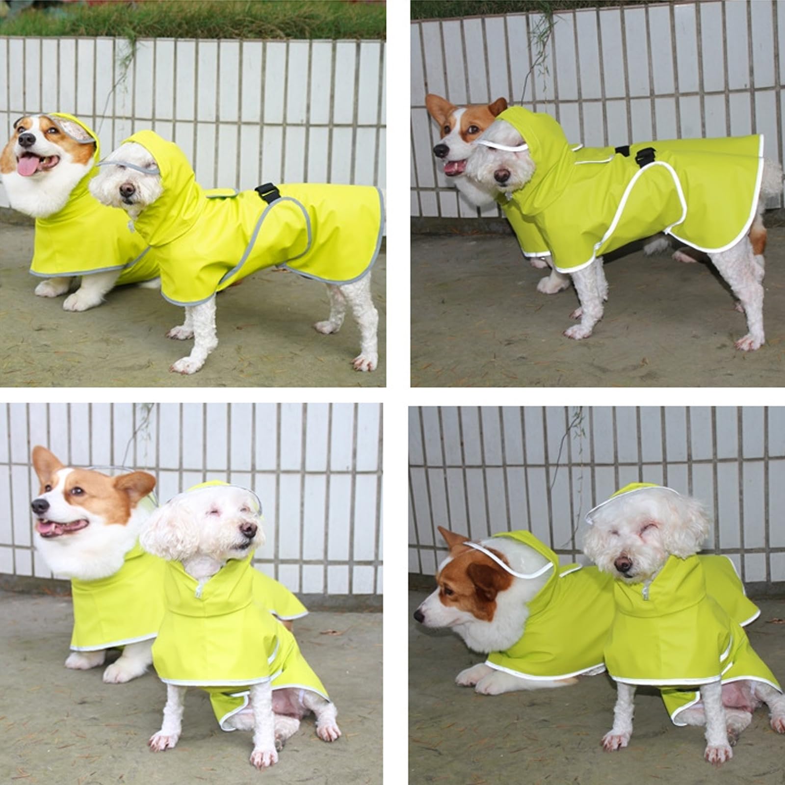 Hunderegenmantel, Verstellbarer, Transparenter Hunde-Regenmantel Mit Kapuze, Glatter Regenumhang, Leichte Welpen-Regenausrüstung, Outdoor-Kleidung Mit Leine