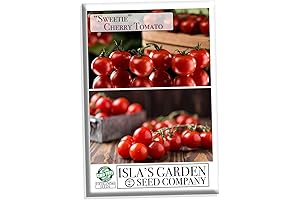 Certified "Sweetie" Cherry Tomato Seeds for Hydroponic Systems
