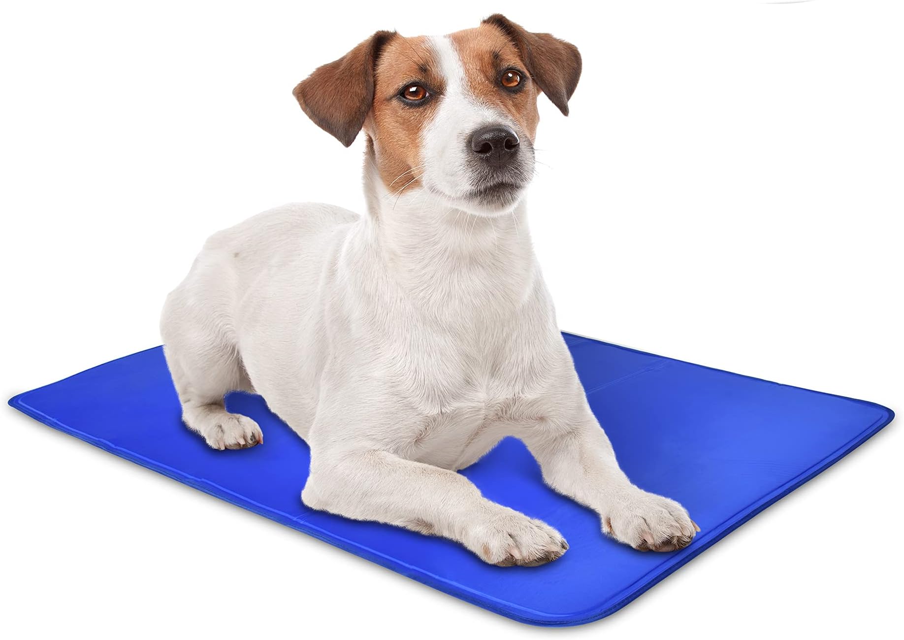 Arf Pets Dog Self Cooling Mat Pad for Kennels, Crates and Beds, Non-Toxic, Durable Solid Cooling Gel Material. No Refrigeration or Electricity Needed, Small 16" x 20",Blue