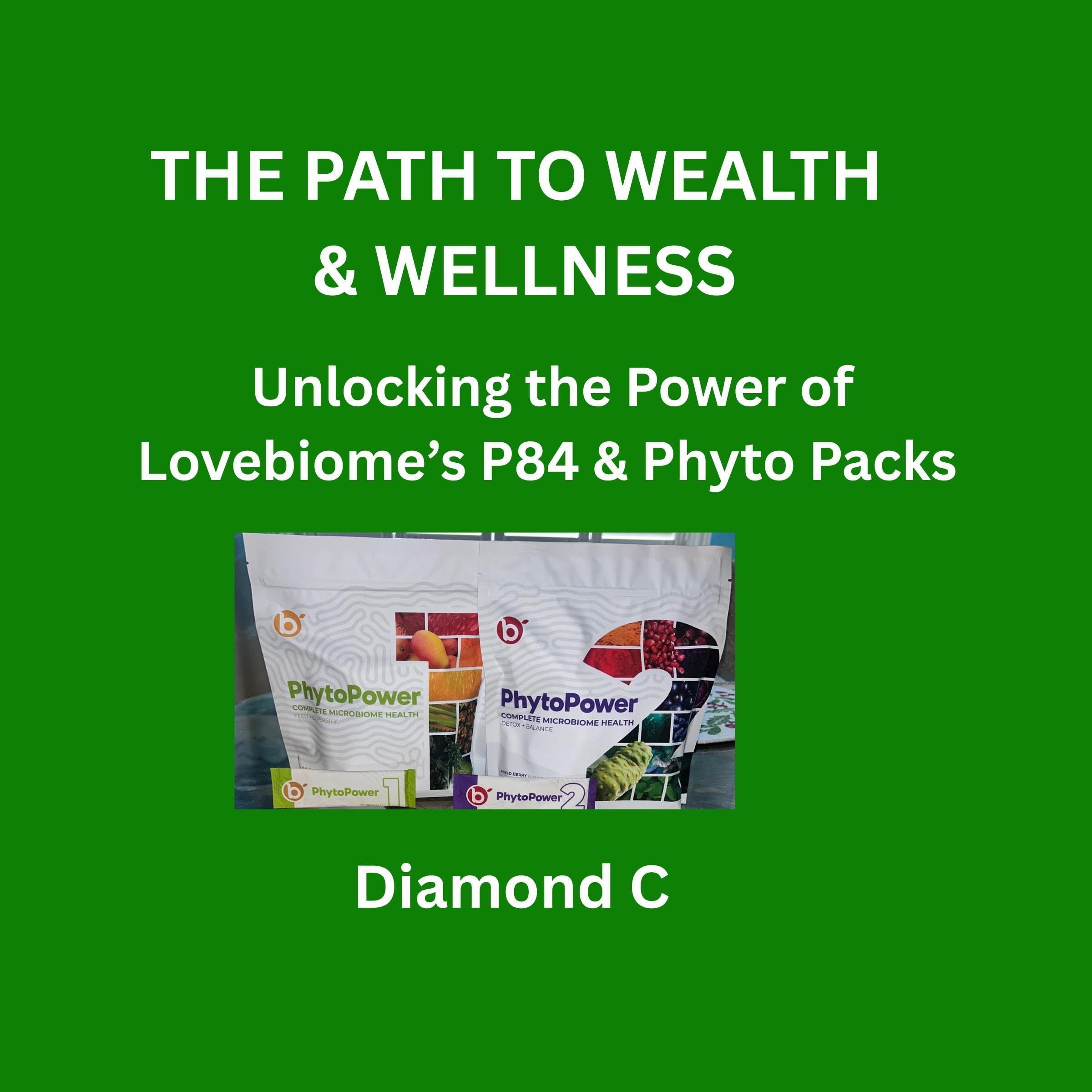 Cover art for The Path to Wealth & Wellness