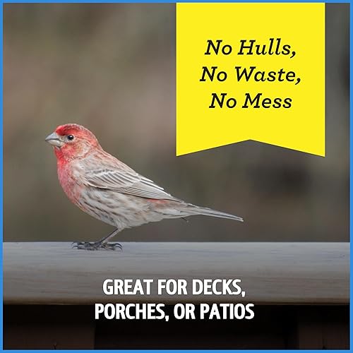 Vista 90 de Pennington - Pride Wild Finch - Mezcla de semillas para pájaros silvestres, 10 libras